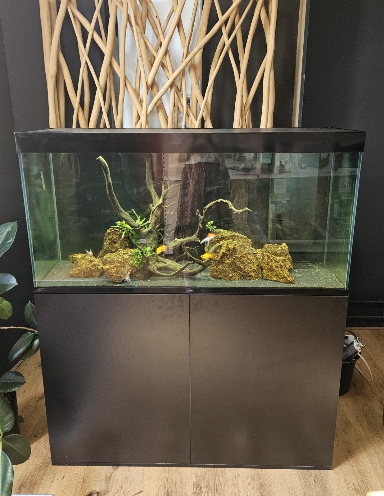 Aquarium Ciano emotions pro 120, Ophalen, Inclusief vissen, Nieuw, Aquariummeubel