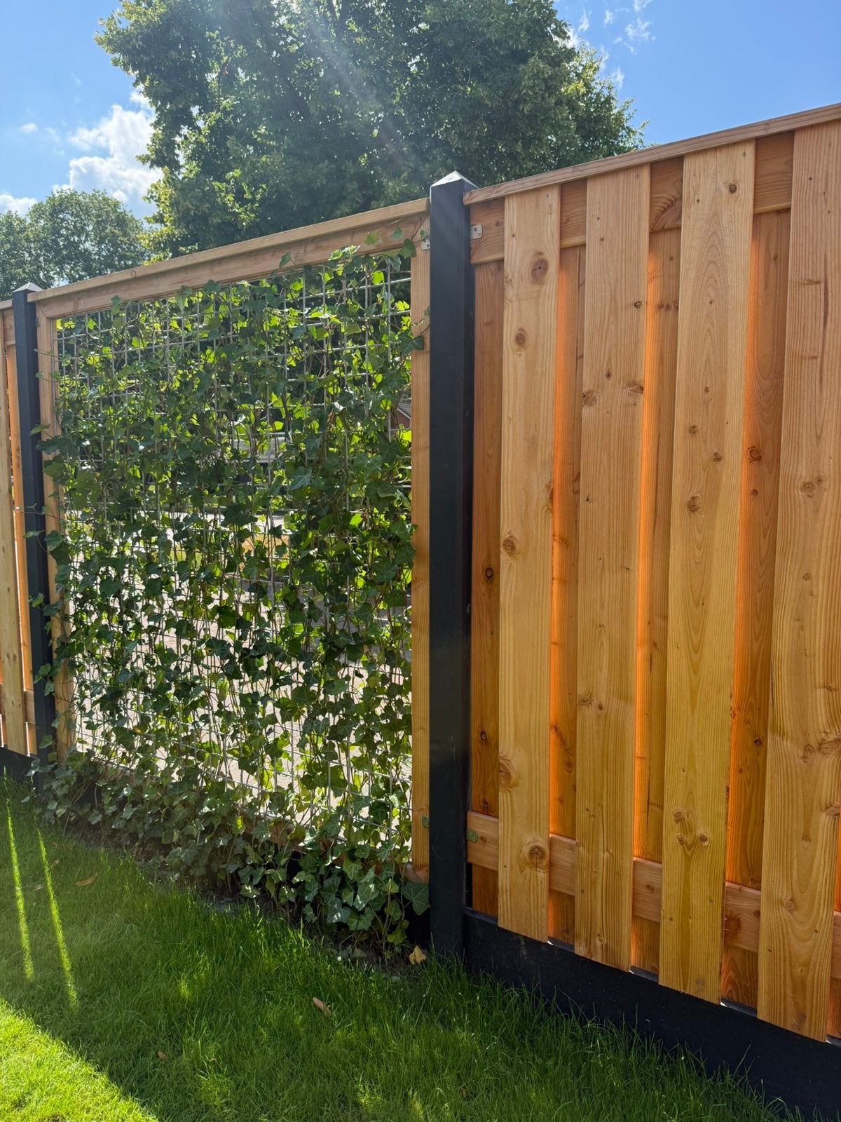 Nieuw! Betonpaal antraciet (voor schutting), Ophalen, Nieuw, Minder dan 3 meter, 2 meter of meer