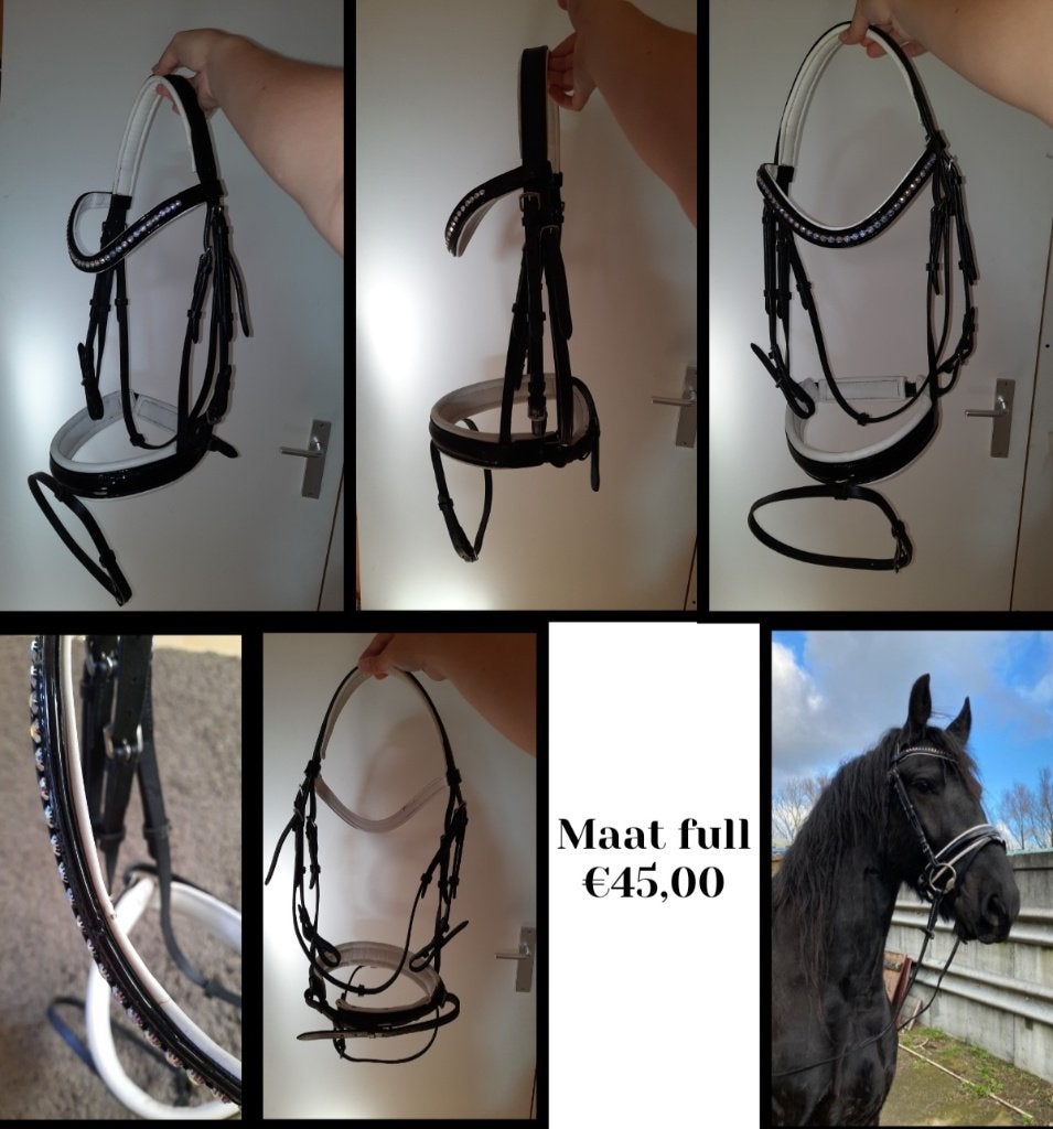 Diverse paardenspullen, Ophalen of Verzenden, Gebruikt, Overige disciplines