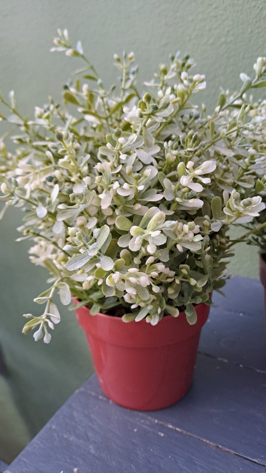Set van 4 kunstplantjes in pot - Groen/Wit, Binnen, Met pot of vaas, Kunstplant, Onbekend