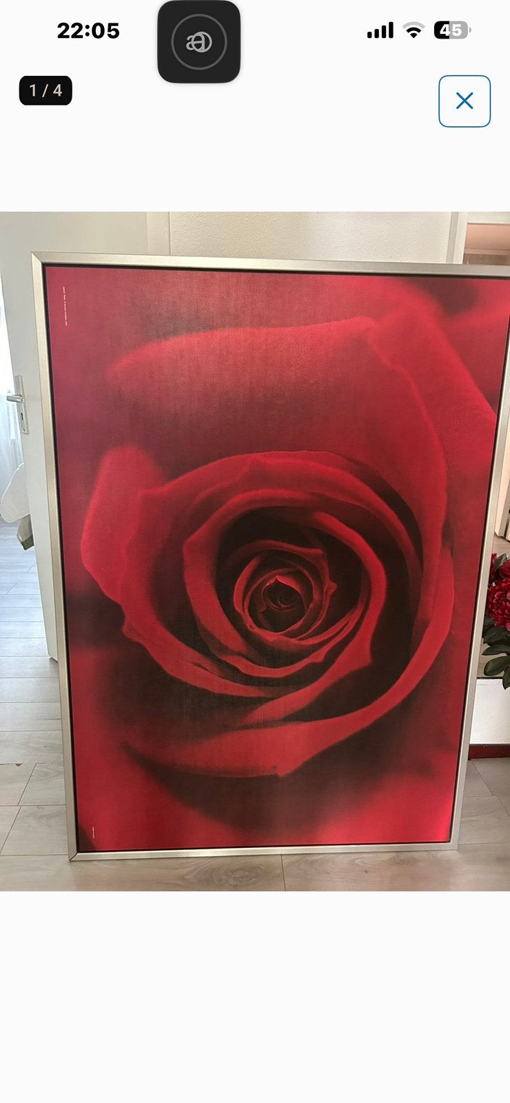 Roden rozen, Ophalen