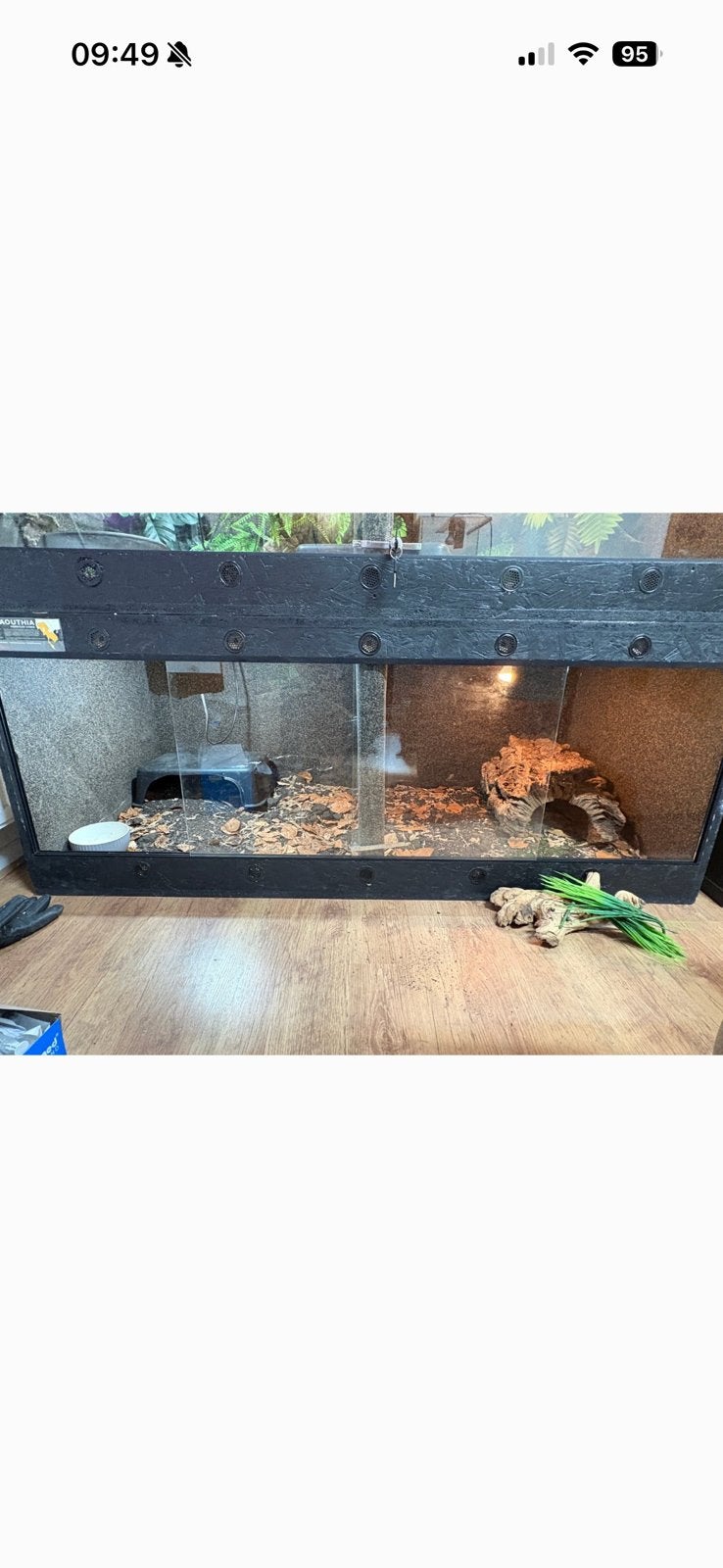 2x OSB terrarium 150x70x60., Dieren en Toebehoren, Reptielen en Amfibieën | Toebehoren, Ophalen, Gebruikt, Terrarium of Paludarium