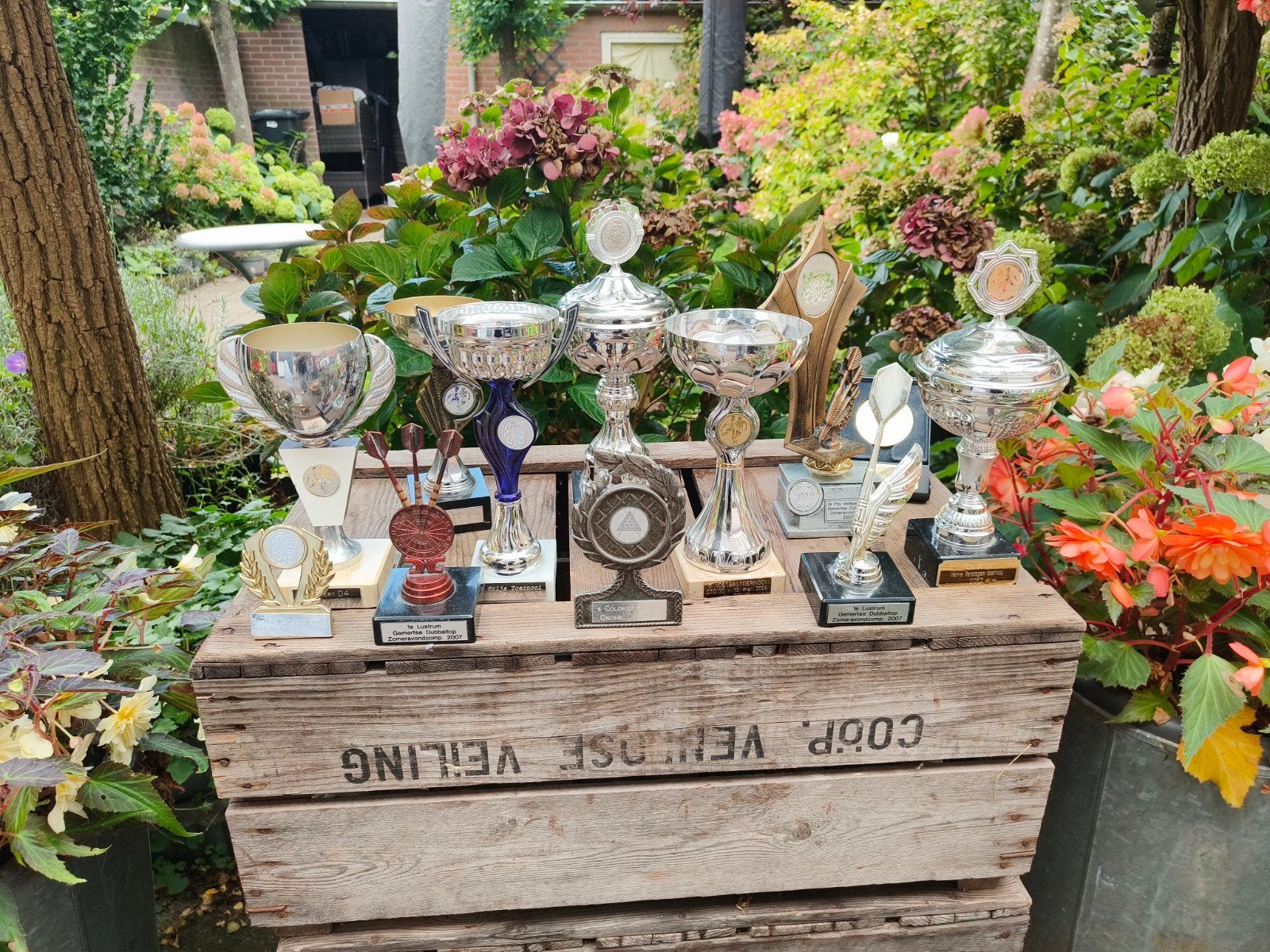 bekers en trofeeën, los te koop, 3 verkocht, Ophalen of Verzenden