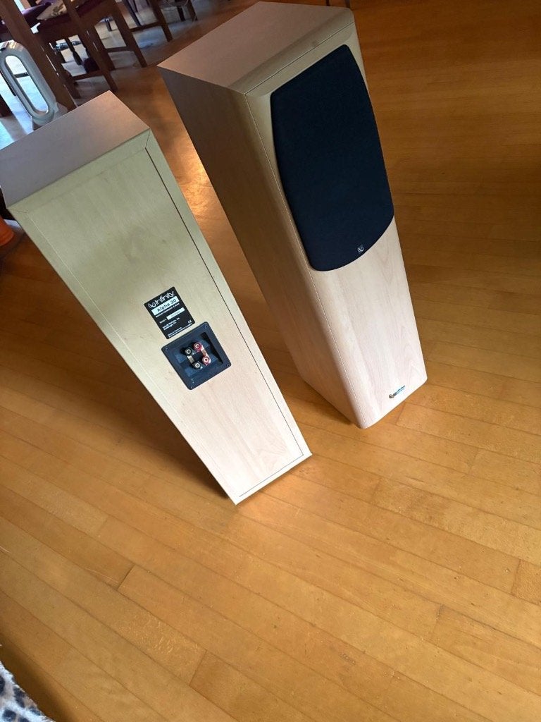 Infinity Alpha 30 vloerstaande luidsprekers – set van 2, Audio, Tv en Foto, Ophalen, Gebruikt, Vloerstaande luidspreker, Overige merken