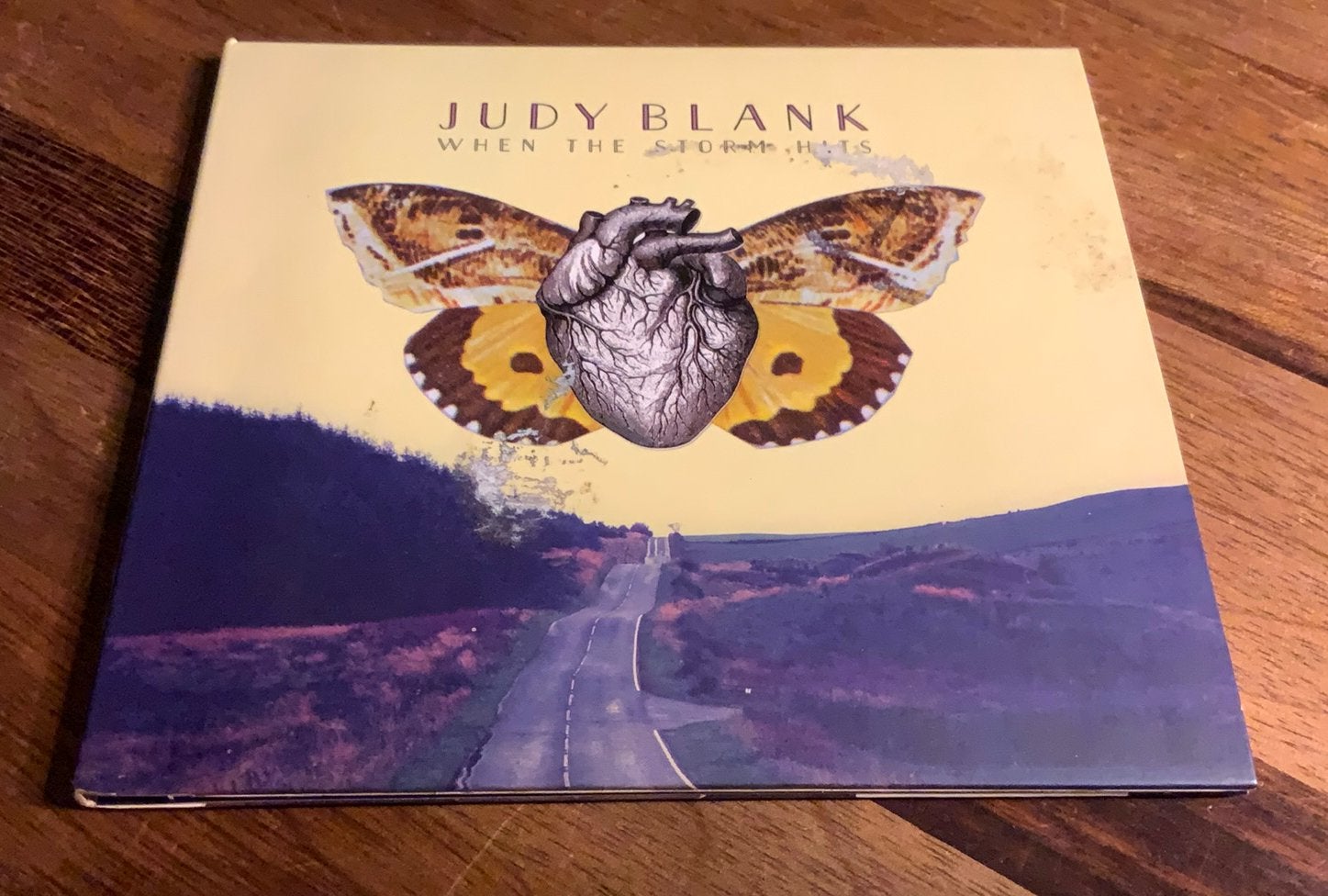CD JUDY BLANK WHEN THE STORM HITS 2014 CAROLINE RECORDS NL, Gebruikt, Digipak, Album, Verzenden