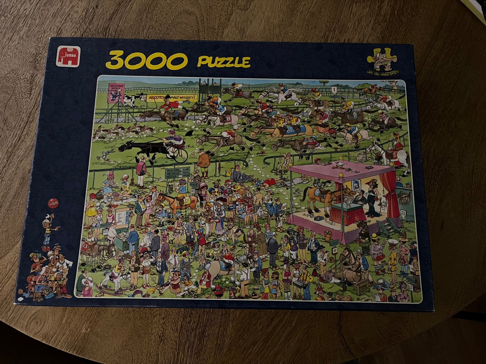 Puzzel 3000 van Haasteren, Ophalen, Meer dan 1500 stukjes, Gebruikt, Legpuzzel