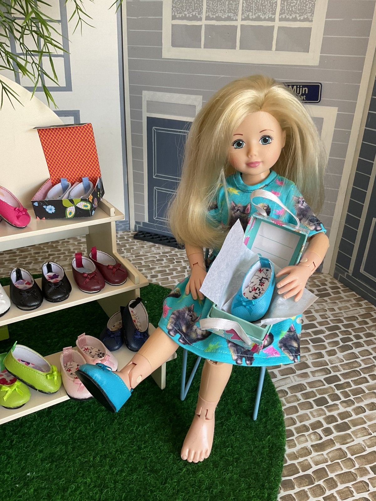Jolina Ballerina: SCHOENTJES., Ophalen of Verzenden, Nieuw, Overige typen