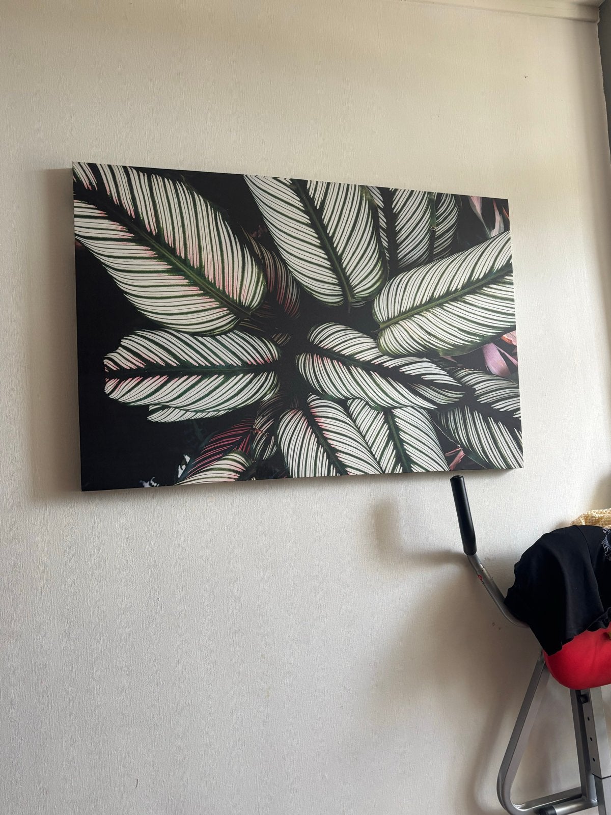 Schilderij met plantenprint - Calathea, Ophalen, Zo goed als nieuw, 50 tot 75 cm, Schilderij
