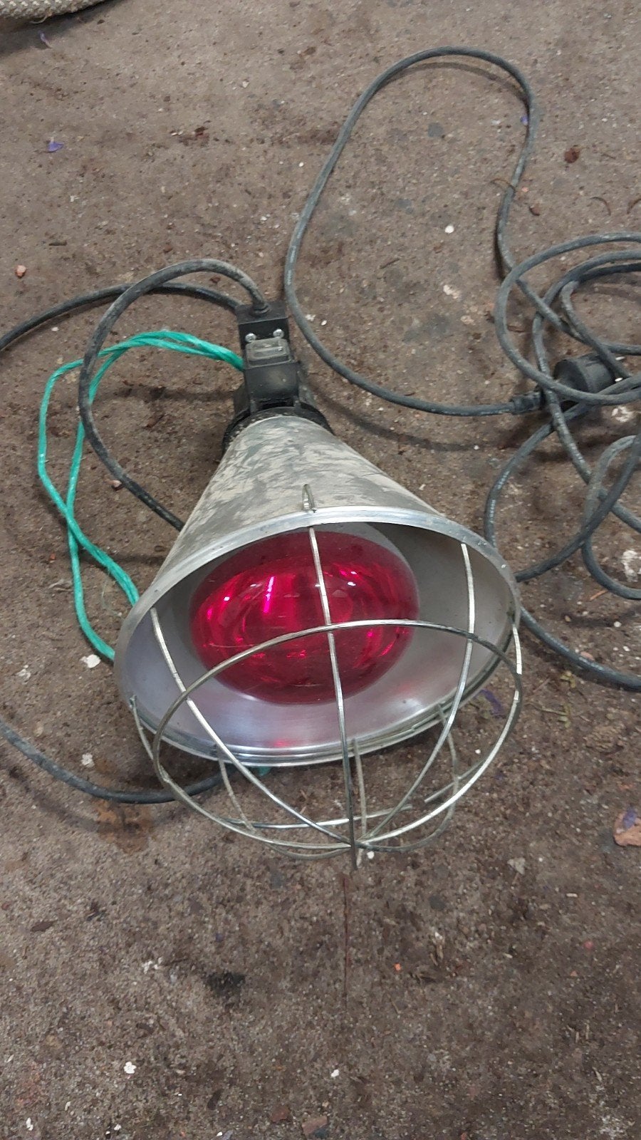 warmtelamp broedlamp kip kuikens, Ophalen of Verzenden