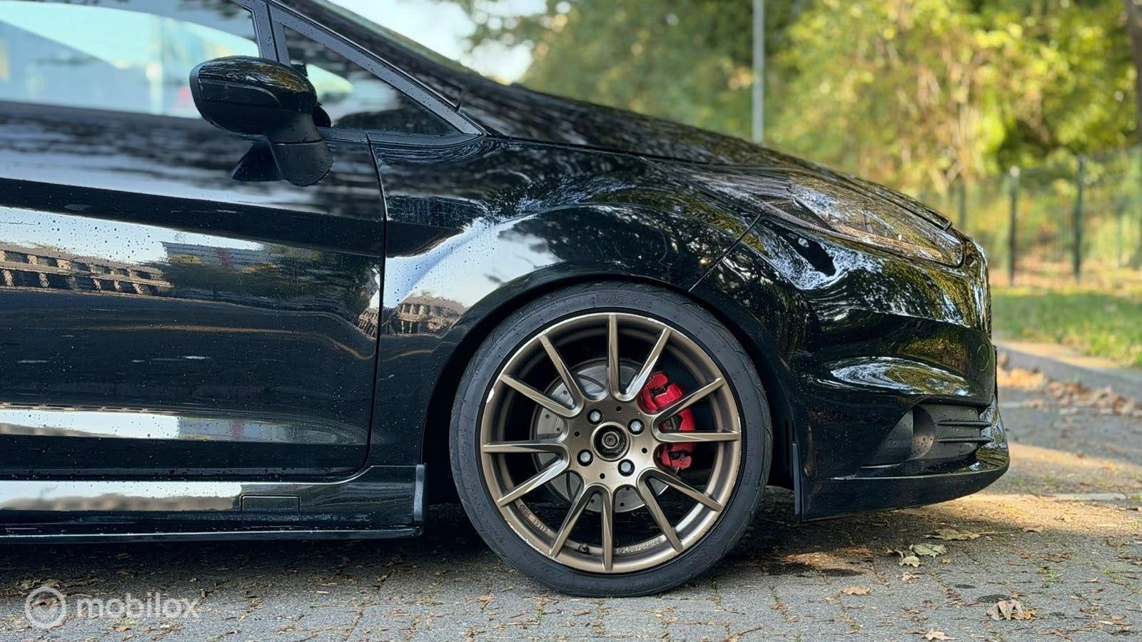 Foto 10 van Ford Fiesta ST 1.6| Milltek | Maxton | Carbon | Pops & Bangs