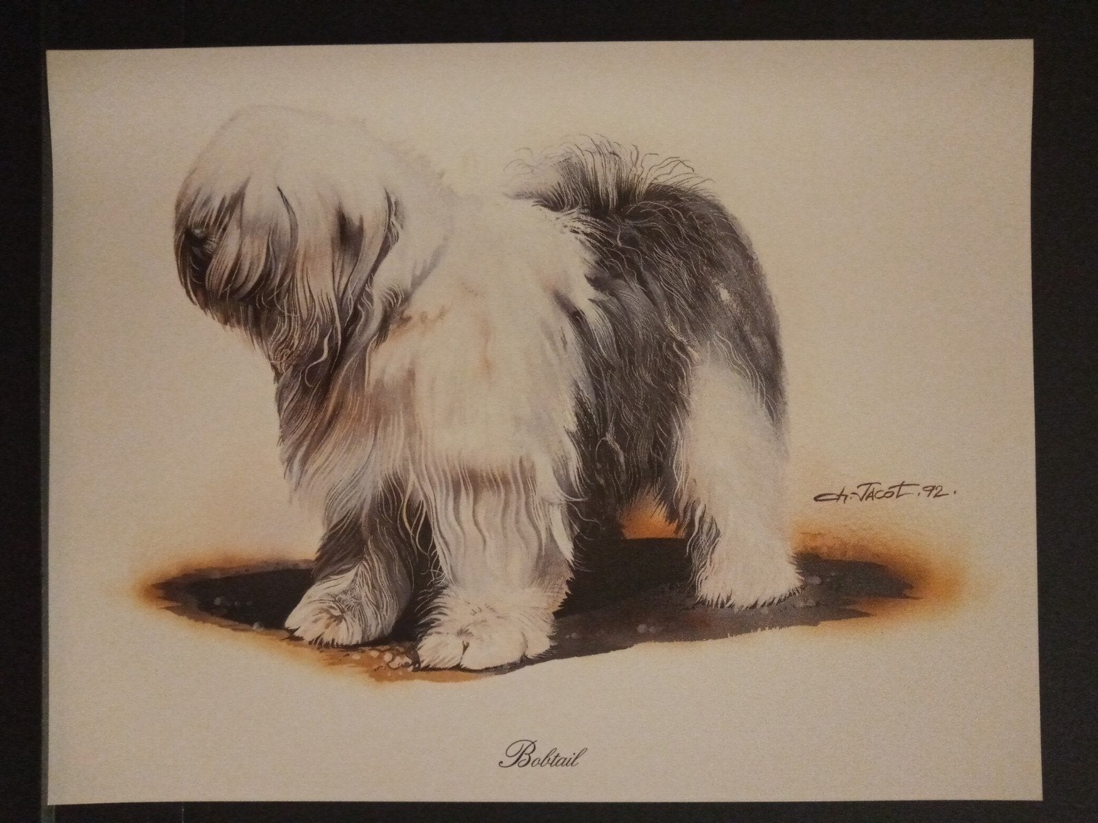 Bobtail - kunstprent - levensecht - Ch Jacot tekenaar, Verzenden, 1980 tot heden, Zo goed als nieuw, Dier
