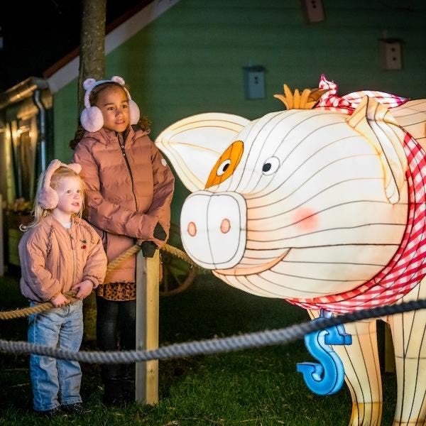 Lichtjesfestival Molenwaard: 2e kaartje GRATIS (AH), Albert Heijn, Ophalen