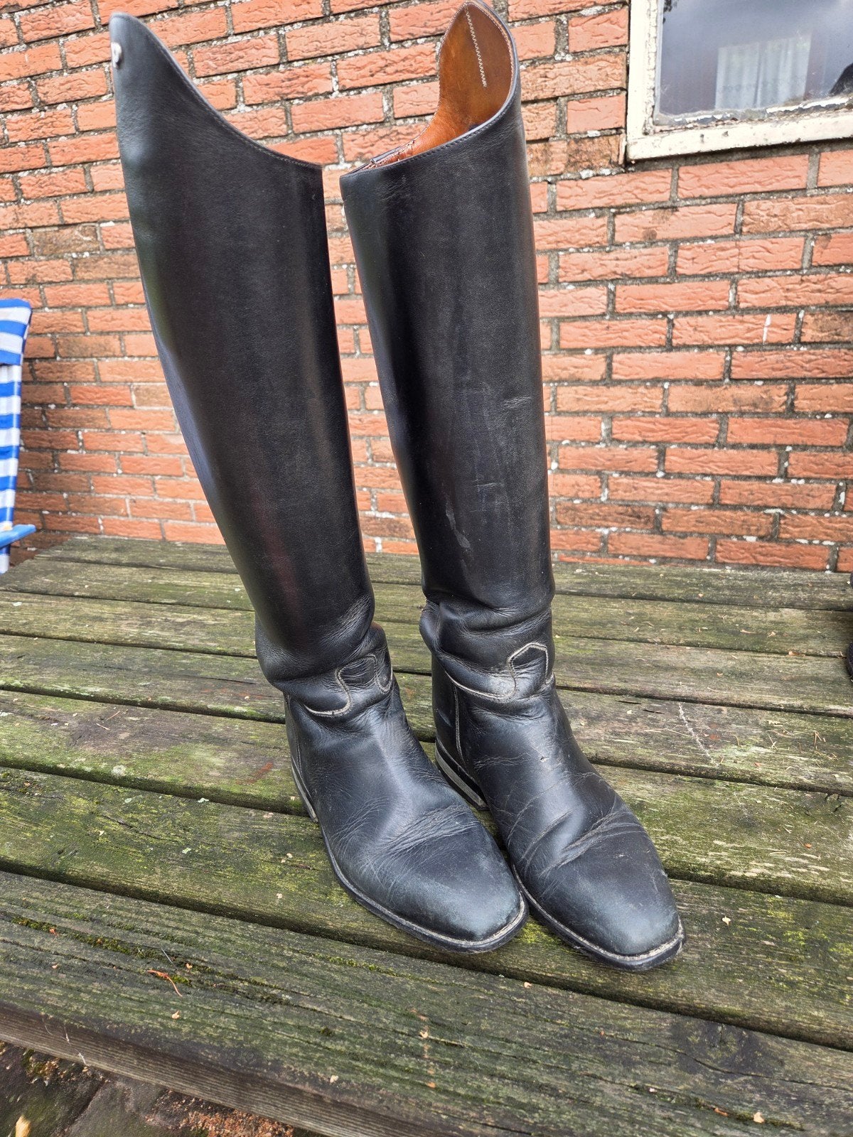 Petrie zwarte rijlaarzen maat 37,5, Ophalen of Verzenden, Dressuur, Schoeisel