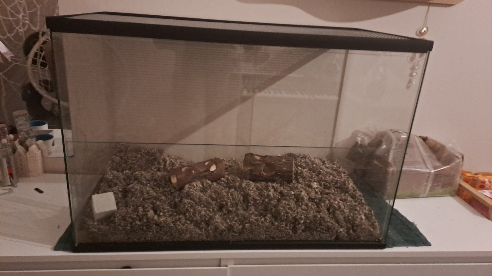 terrarium, Dieren en Toebehoren, Ophalen of Verzenden, Zo goed als nieuw, Terrarium of Paludarium