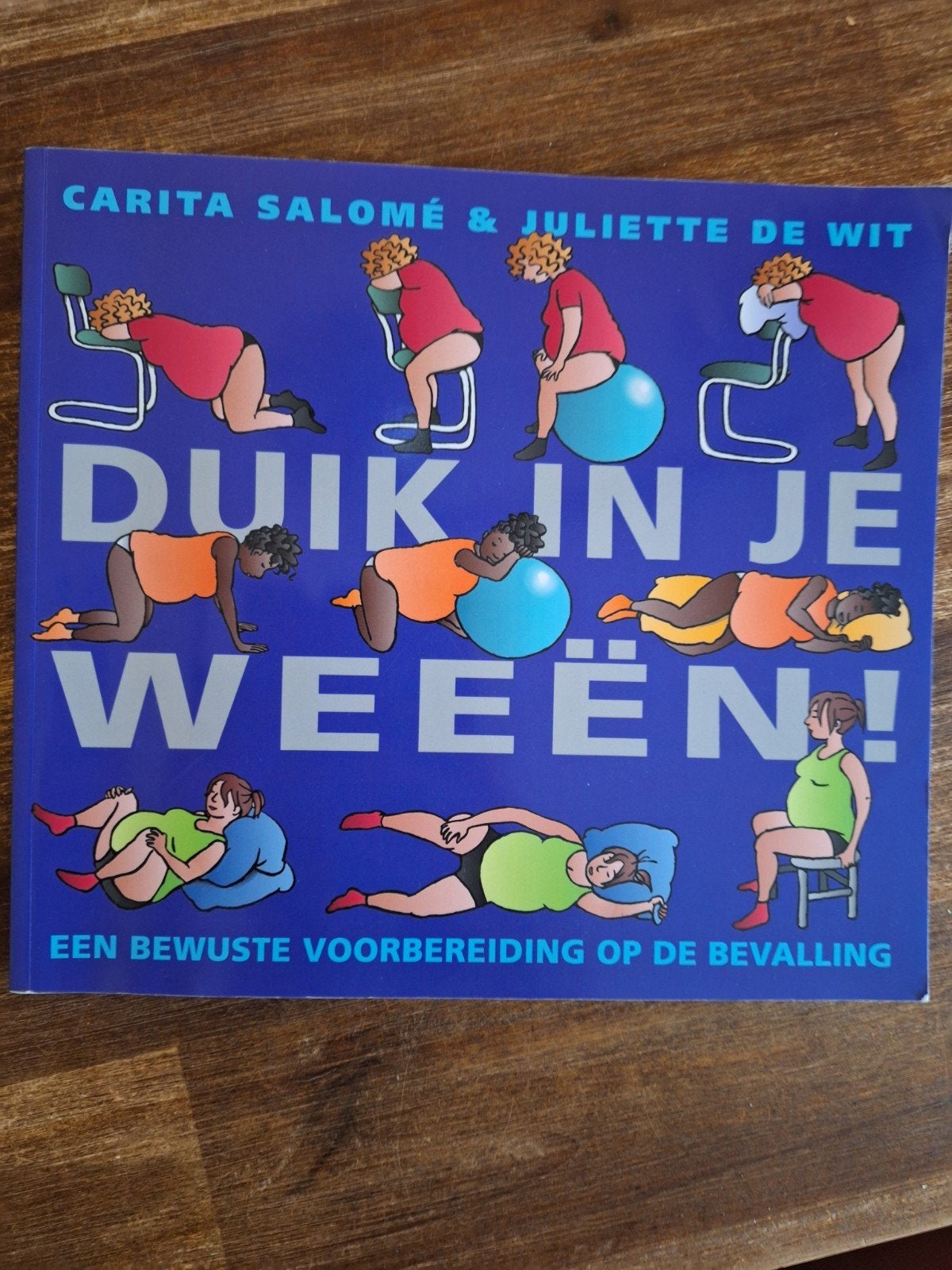Boek 'Duik in je weeën', Ophalen of Verzenden, Zo goed als nieuw, Zwangerschap en Bevalling