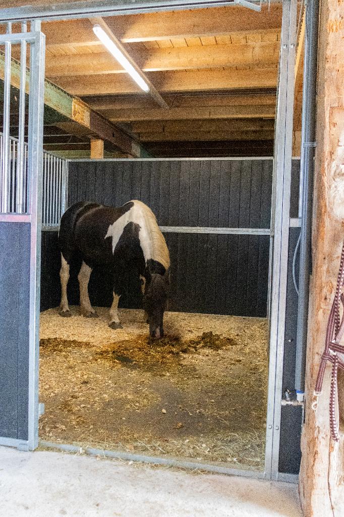 Foto 3 van Paardenboxen Voorwand met schuifdeur