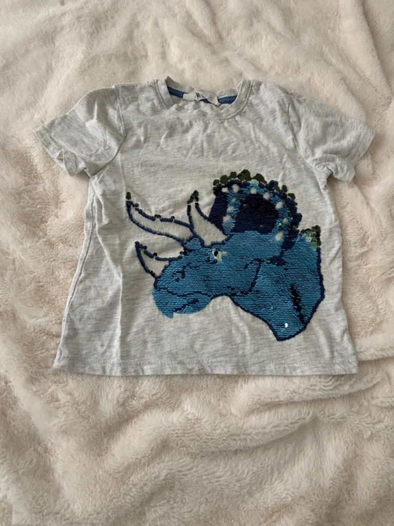 H&M t-shirt omkeerbare pailletten dinosaurus. Maat 110/11, Ophalen of Verzenden, Gebruikt, Jongen, Shirt of Longsleeve