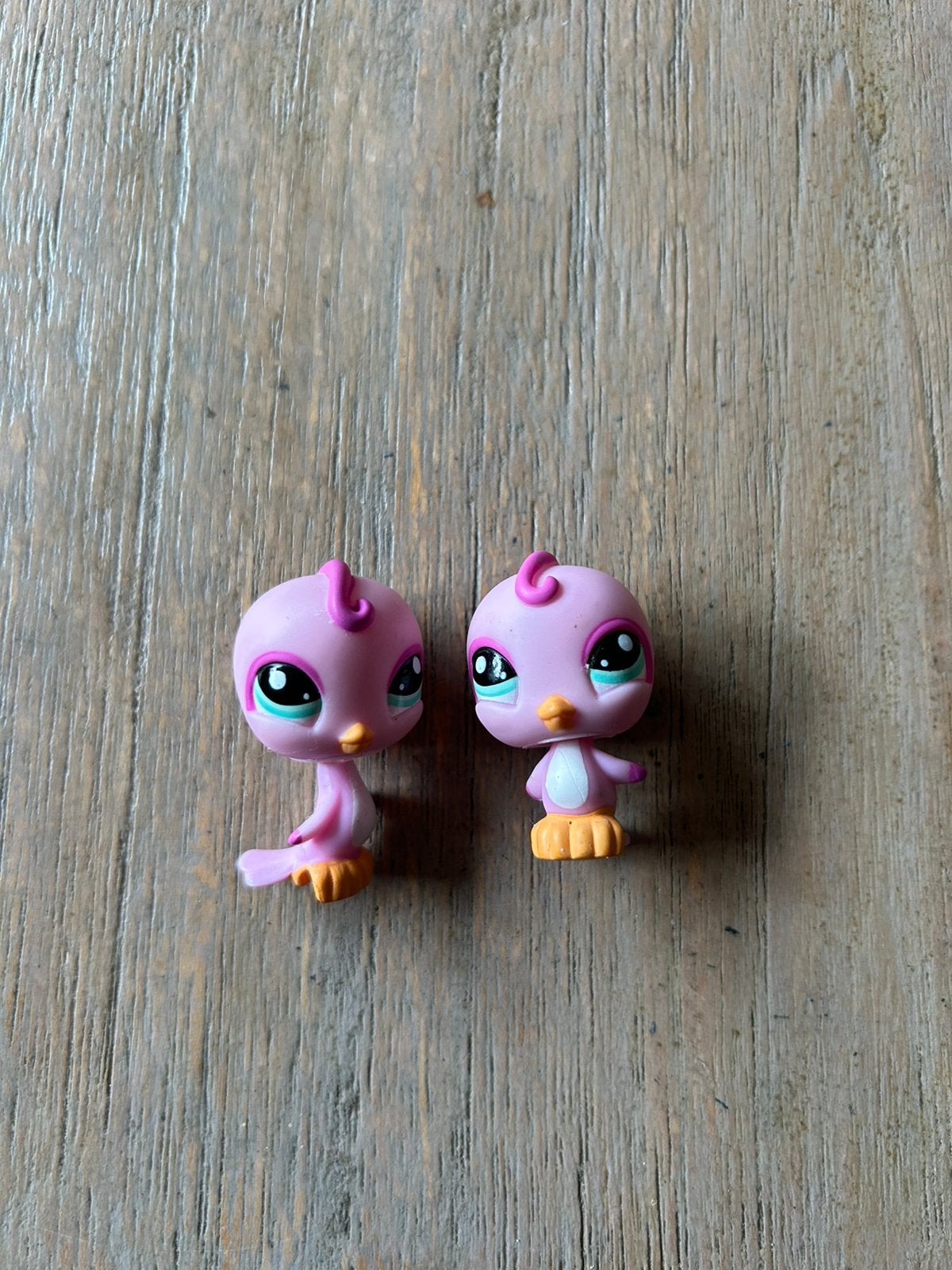 Pink parakeet, Ophalen of Verzenden, Gebruikt
