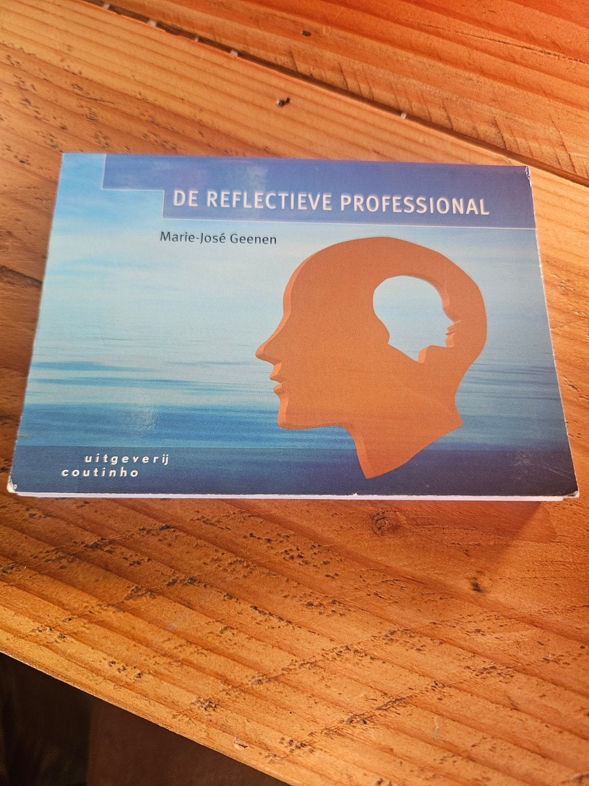 De Reflectieve Professional - Marie-José Geenen, Zo goed als nieuw, Gamma, Marie-José Geenen, HBO