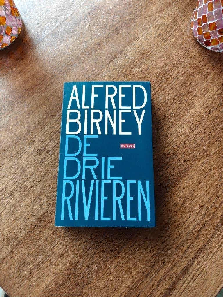 De drie rivieren - Alfred Birney, Boeken, Ophalen of Verzenden, Zo goed als nieuw, Alfred Birney, Nederland
