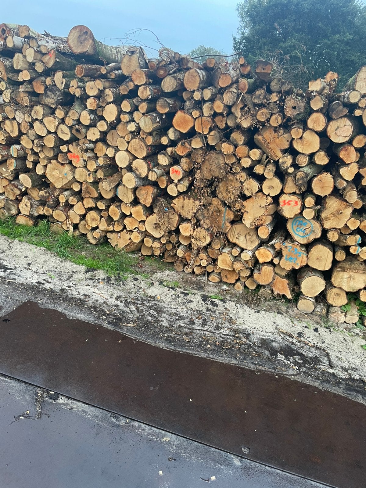 Iepen Brandhout, Minder dan 3 m³, Ophalen