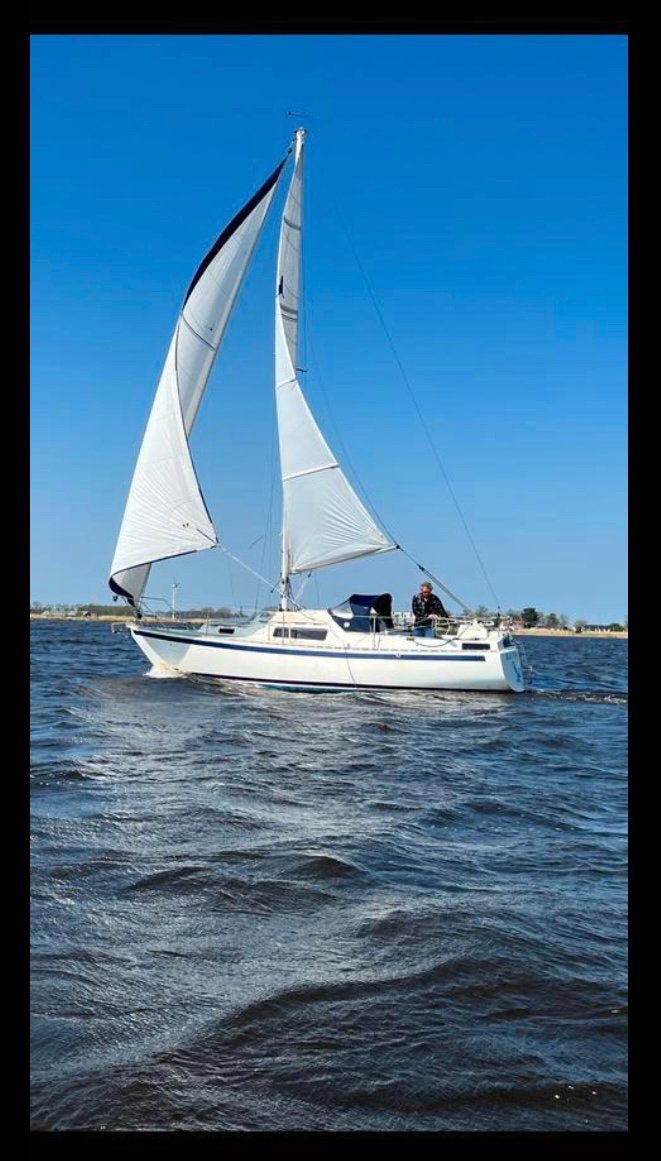 Zeilboot seal28 (motor defect) ophaalbare kiel, Watersport en Boten, Gebruikt, Diesel, Overige typen, 8 m