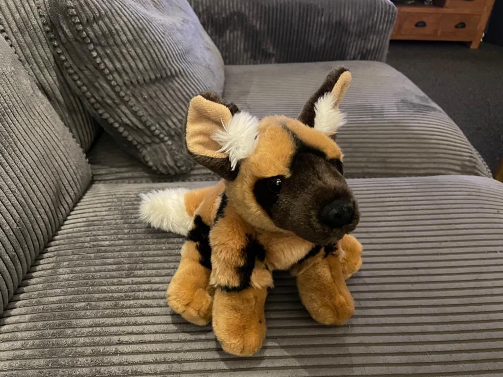 Mooi knuffel van een Afrikaanse wilde hond Nature Planet, Overige merken, Overige karakters, Middelgroot (20 tot 80 cm), Bruin