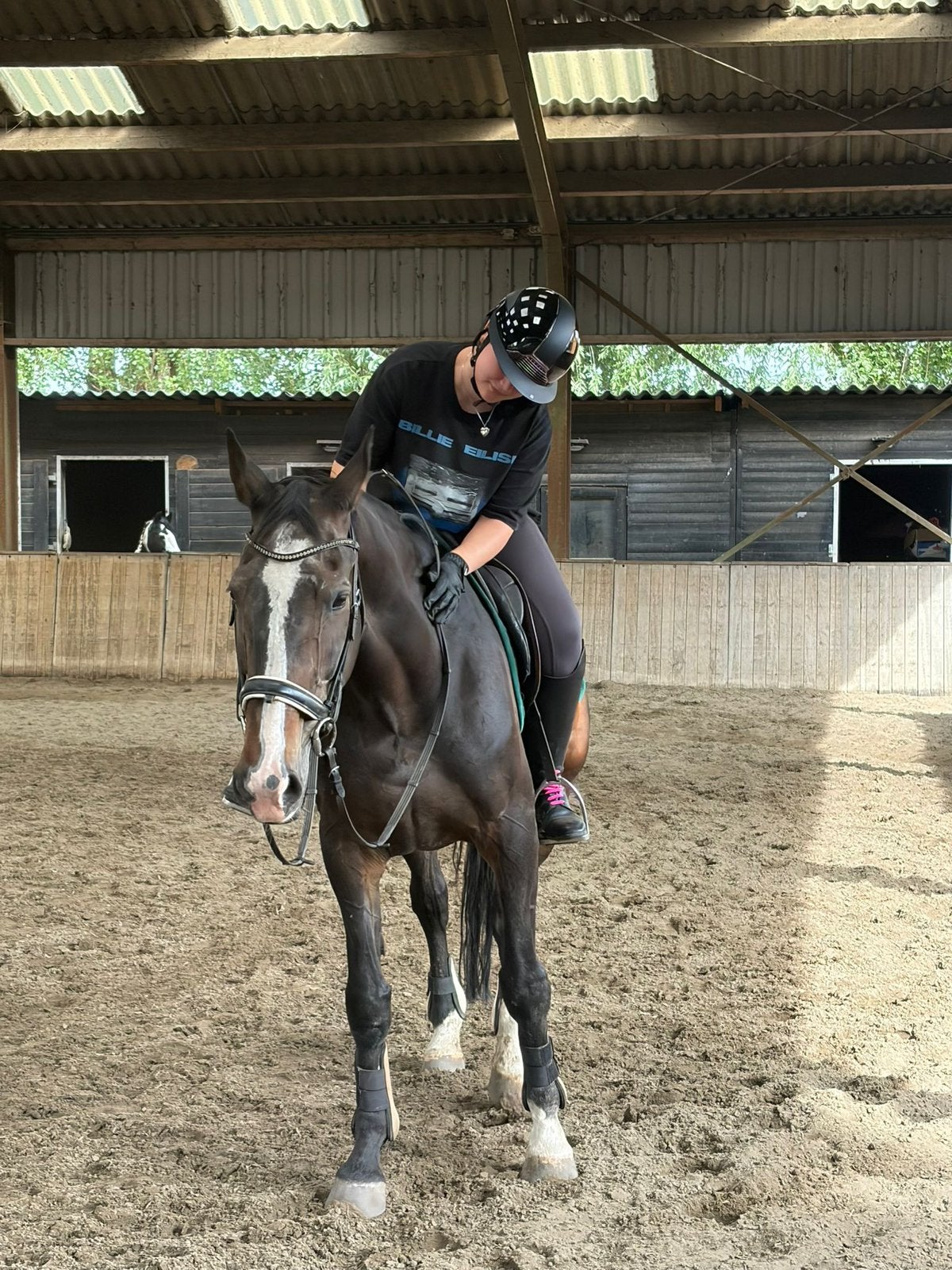 Bijrijd/verzorg paard gezocht, Ophalen of Verzenden, Zo goed als nieuw