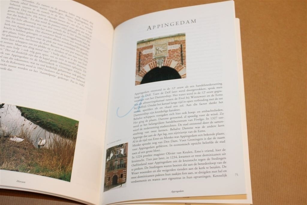 In de Voetsporen van Emo en Menko — Groningen Geschiedenis, Boeken, Ophalen of Verzenden, Gelezen