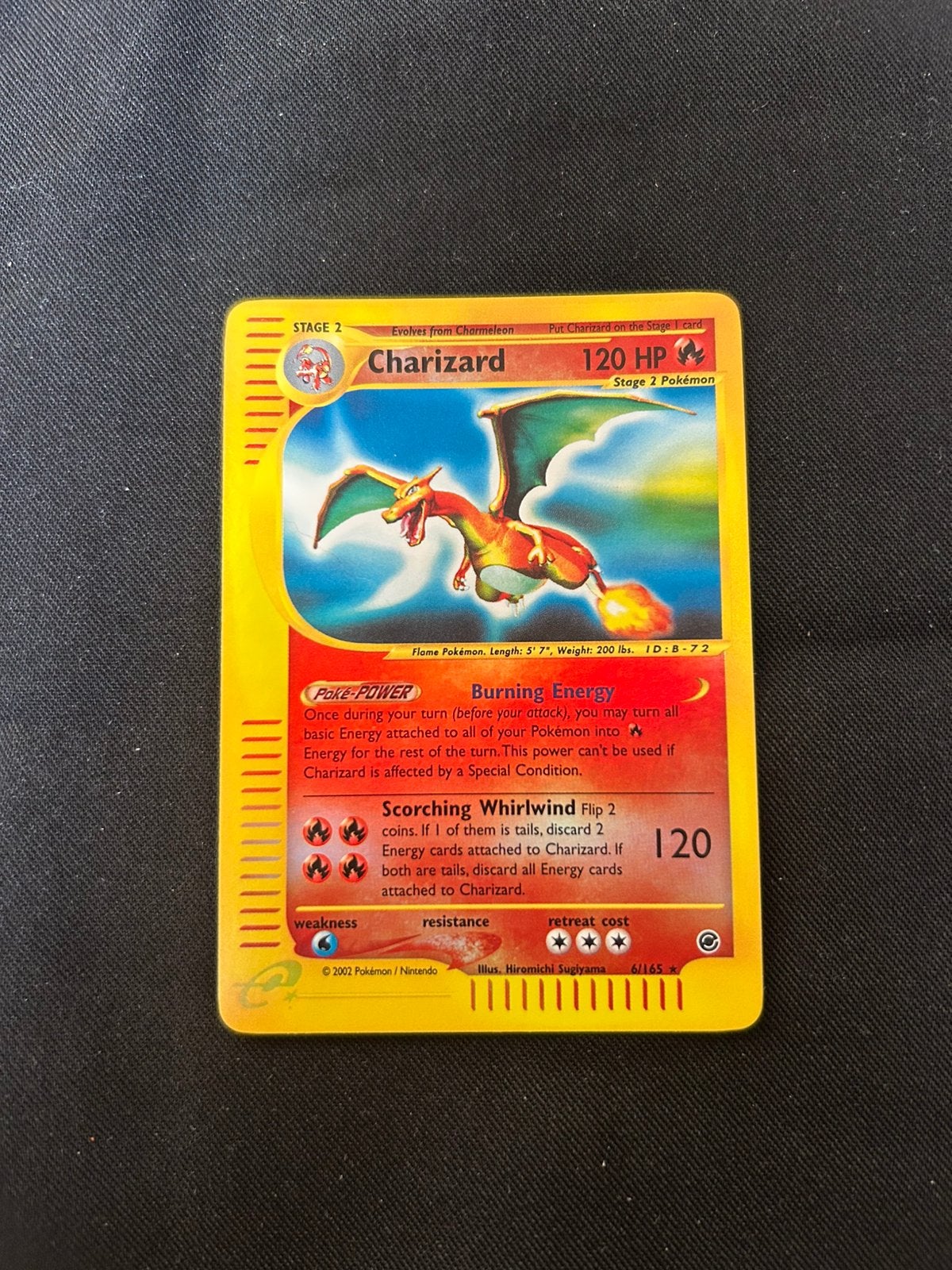 Mooie Expedition Reverse Zard