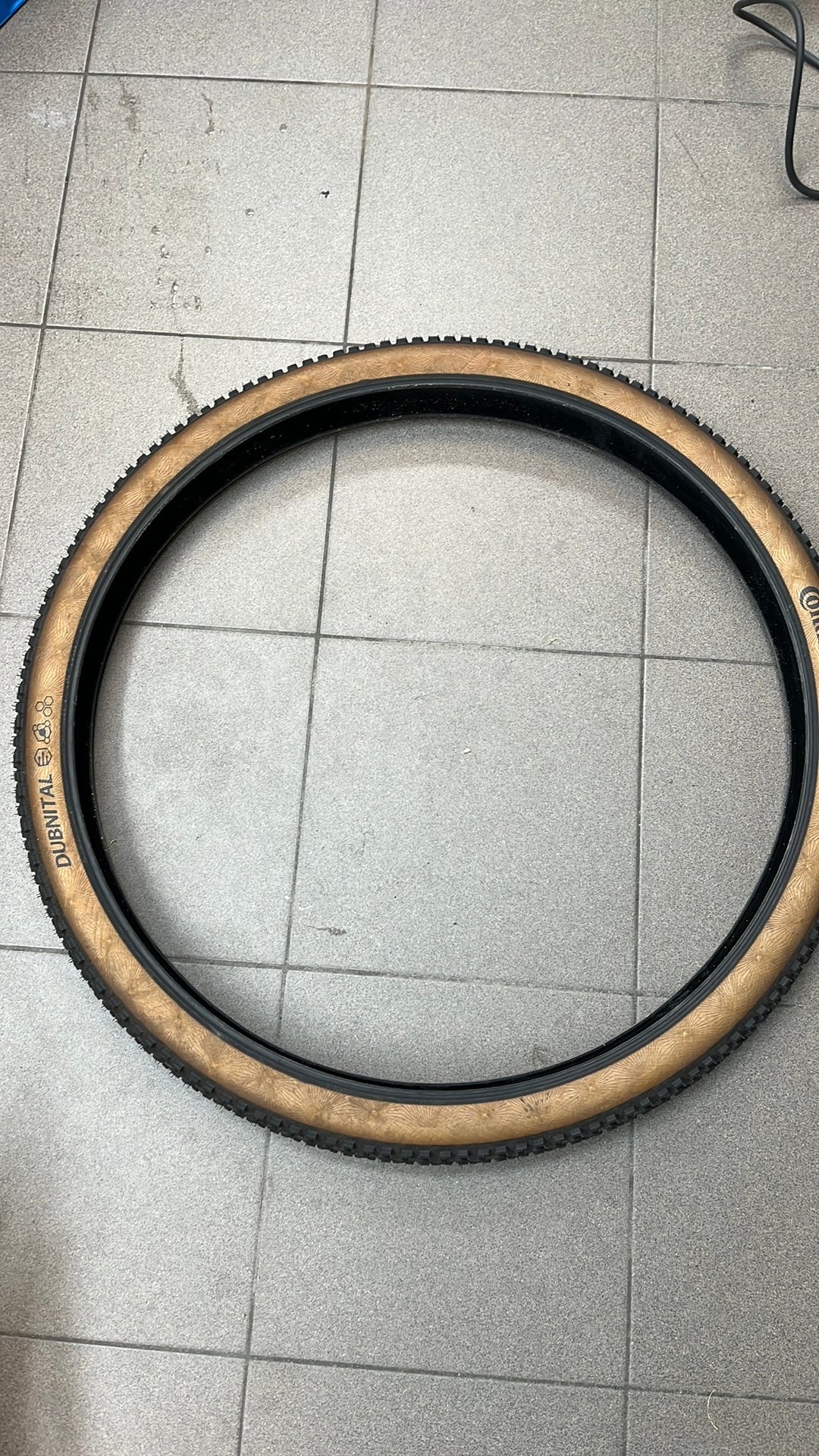 Continental Dubnital 29x2.4 race, Ophalen of Verzenden, Zo goed als nieuw, Band