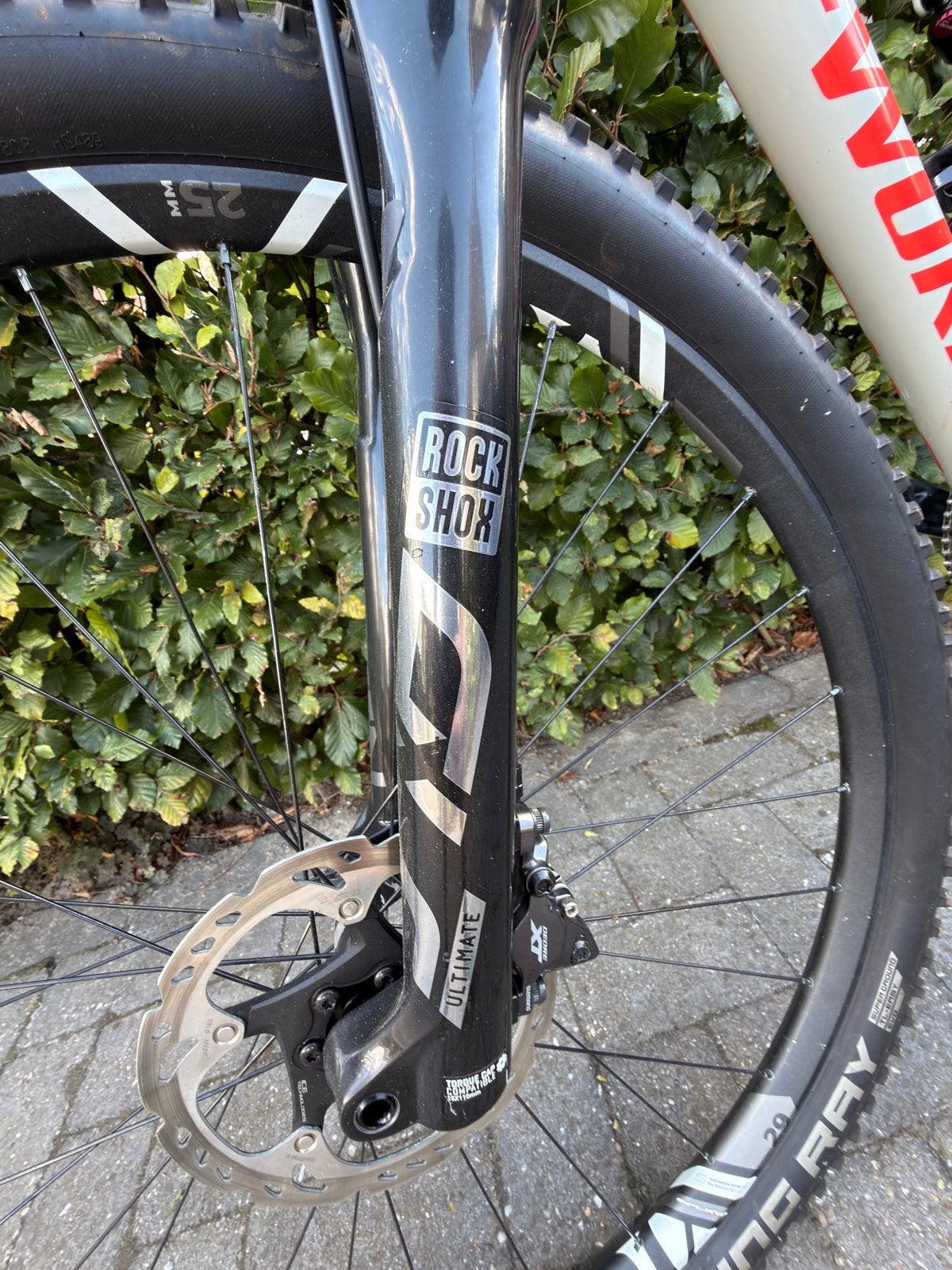 Foto 7 van S-Works Epic Carbon| L |GX AXS|XT|RockShox Ultimate Brain