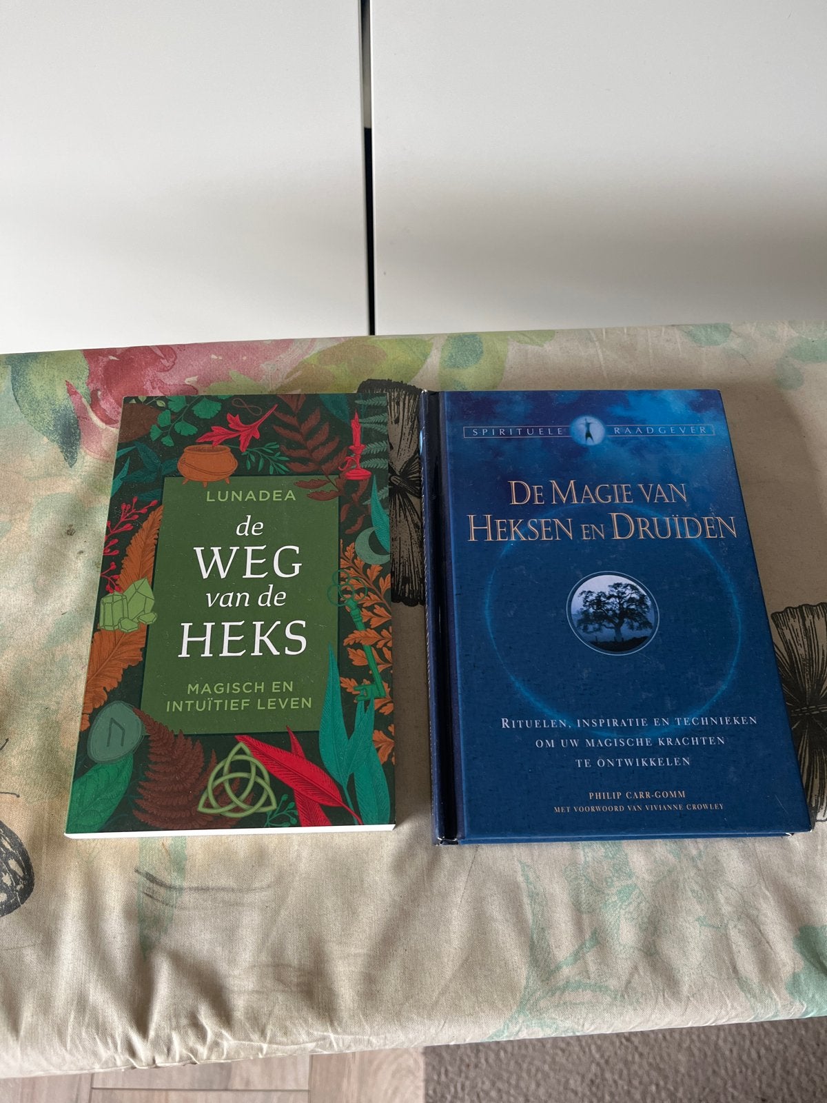 Boeken: De Weg van de Heks & De Magie van Heksen en Druïden, Boeken, Ophalen of Verzenden, Zo goed als nieuw, Spiritualiteit algemeen