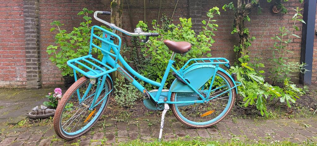 Meisjes fiets transport, Ophalen, Terugtraprem, Handrem, Popal