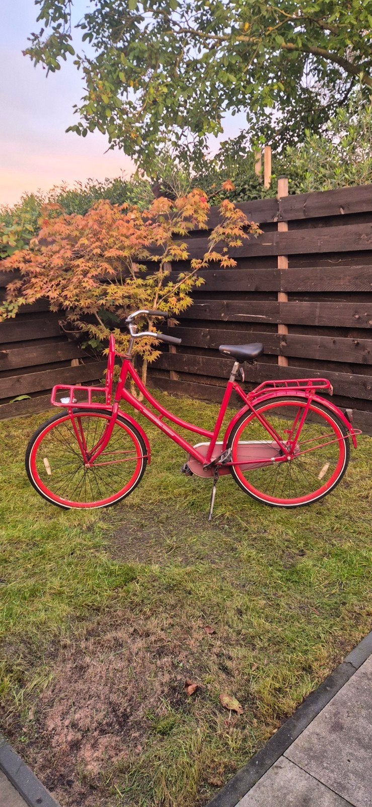 Gebruikte Popal damesfiets met voordrager, Fietsen en Brommers, Terugtraprem, Ophalen, Overige merken, 53 tot 56 cm