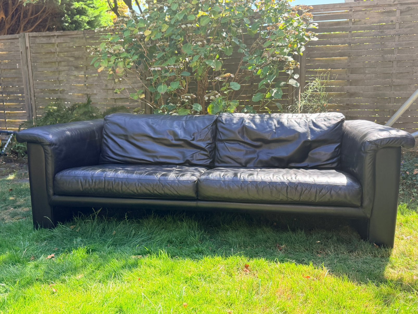Walter Knoll 3-zitsbank model Trasio, Gebruikt, Minder dan 75 cm, Driepersoons, Leer