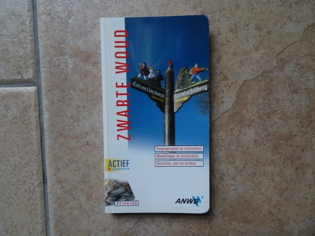 anwb actief reisgids Zwarte Woud, Gelezen, Europa, Ophalen of Verzenden, Reisgids of -boek