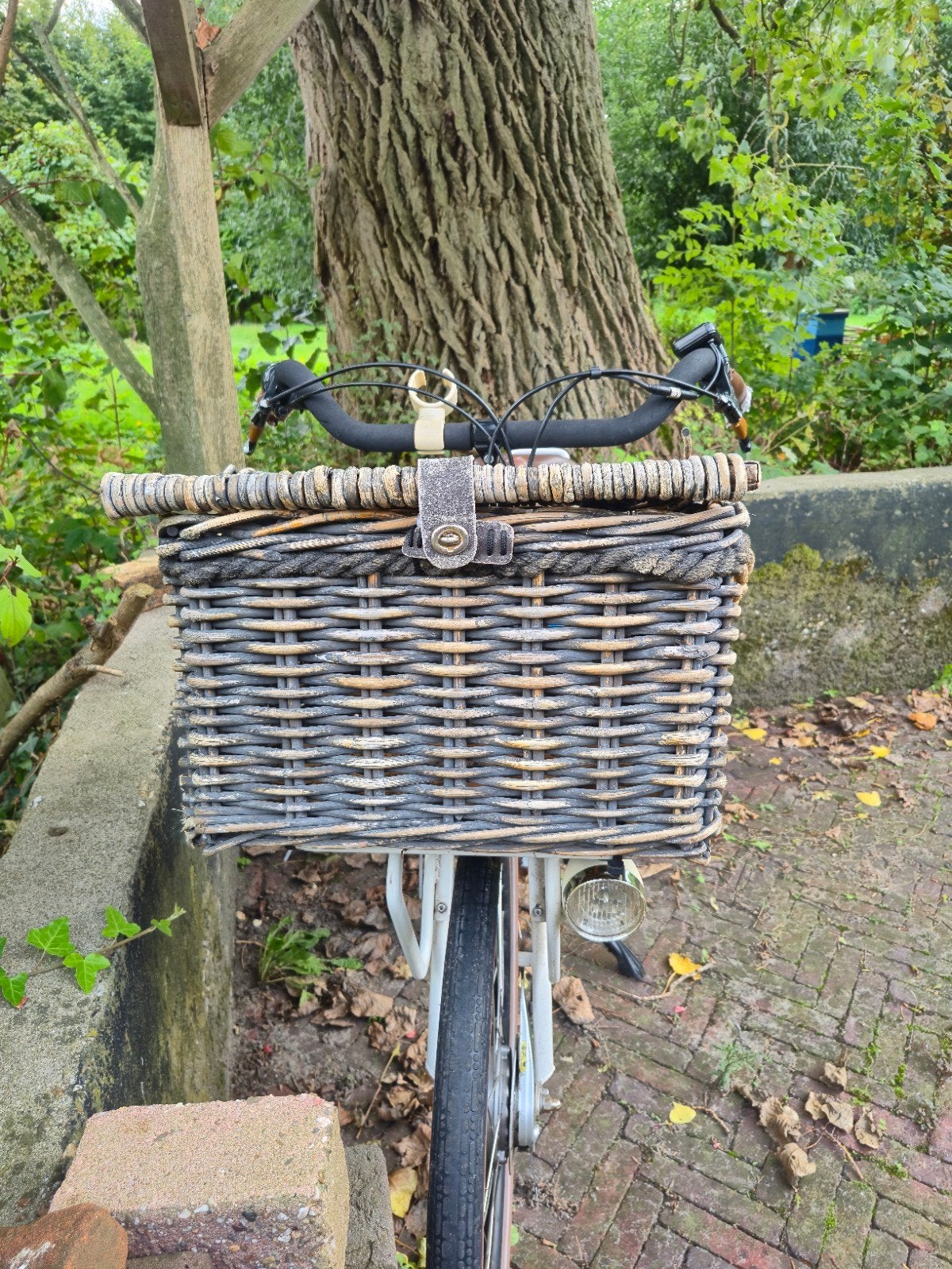 Foto 2 van Stella Dolce ebike - opknappertje - accu werkt