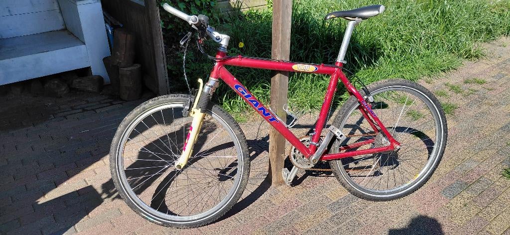 Mountain bike, Ophalen, Gebruikt, Heren, Giant