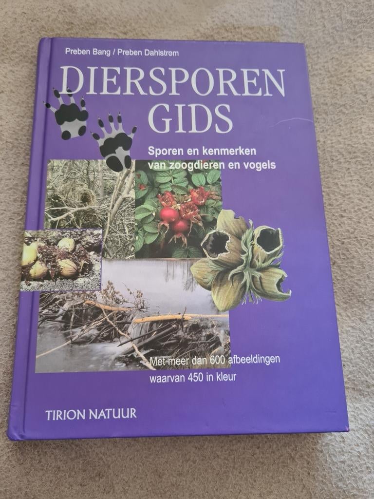 P. Dahlstrom - Diersporengids, Gelezen, P. Dahlstrom; P. Bang, Ophalen of Verzenden, Vogels