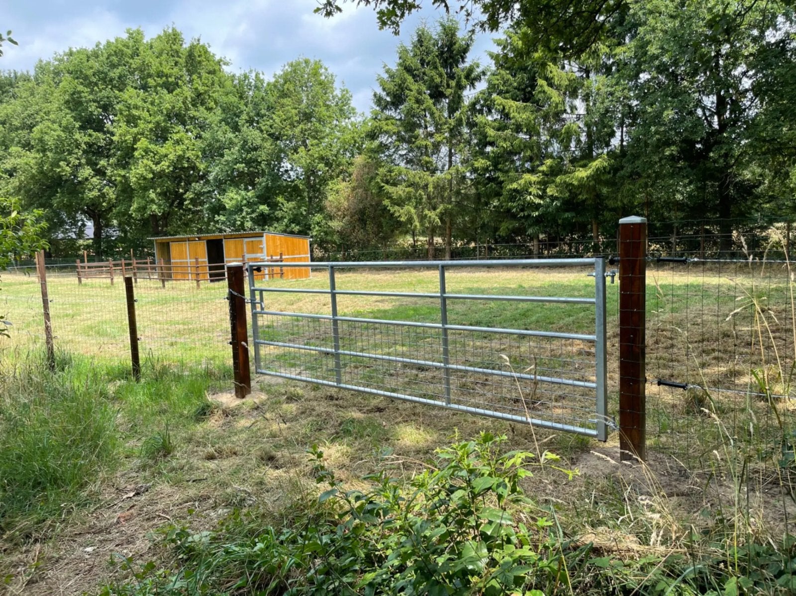 GEZOCHT Stuk grond te huur/koop, Weidegang, 4 paarden of pony's of meer