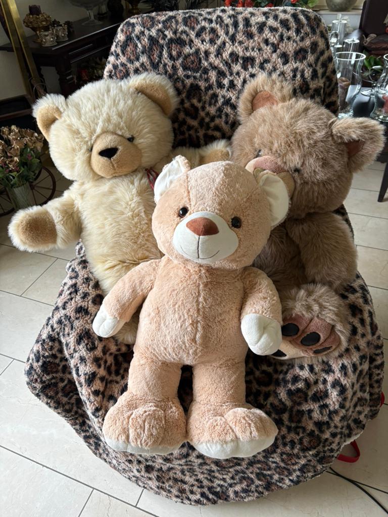 Mooie beren van klein tot groot, Ophalen, Gebruikt, Beer, Middelgroot (20 tot 80 cm)