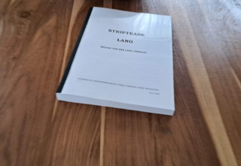 Striptease Lang - Het einde van Hoogovens Lang (2000), Boeken, Ophalen of Verzenden, 20e eeuw of later, Zo goed als nieuw