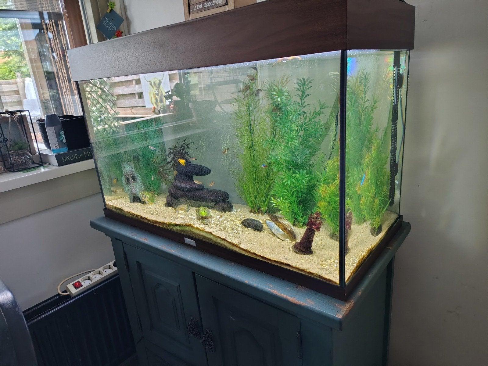 Juwel aquarium incl visbestand zsm weg, Ophalen, Zo goed als nieuw, Gevuld zoetwateraquarium