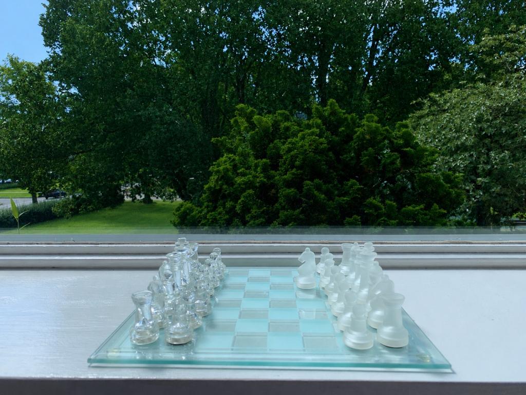 Schaakspel, Een of twee spelers, Ophalen, Gebruikt
