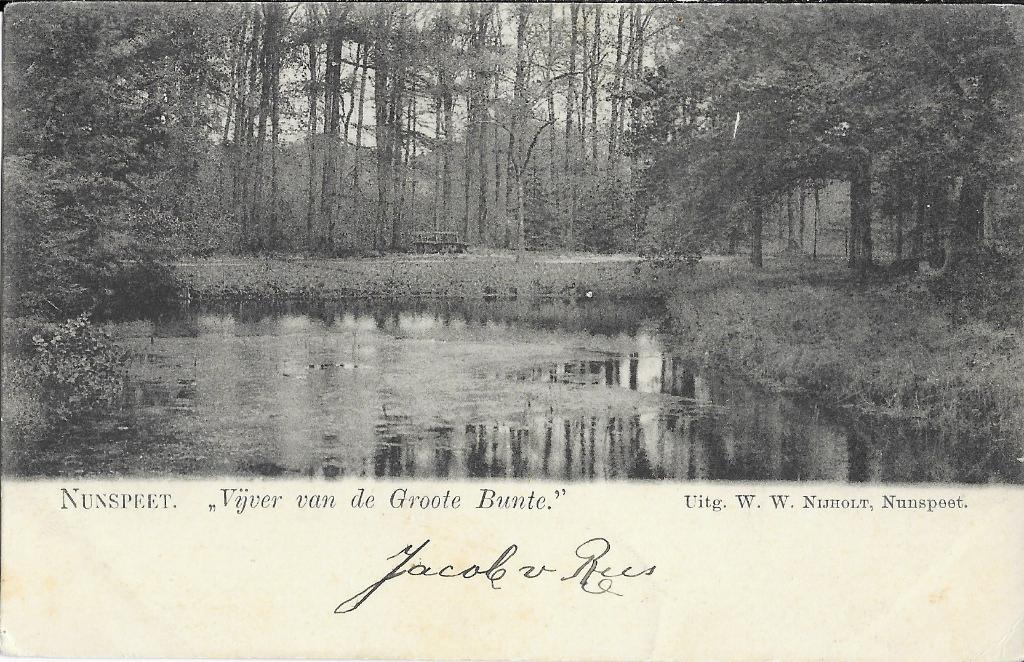 Nunspeet, Vijver, Groote Bunte, Grote Bunte, bankje, Verzenden, Voor 1920, Gelopen, Gelderland