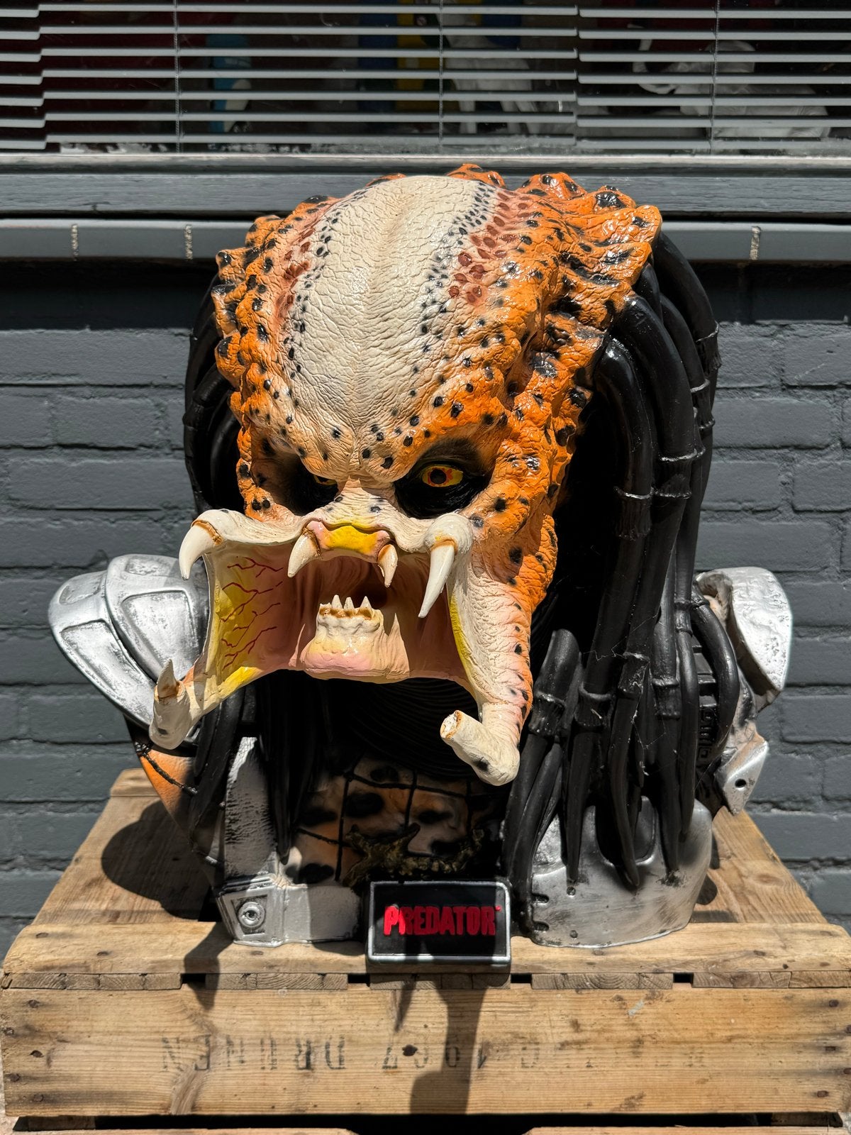 Predator Buste - Levensechte Replica, Verzamelen, Ophalen, Gebruikt, Fantasy