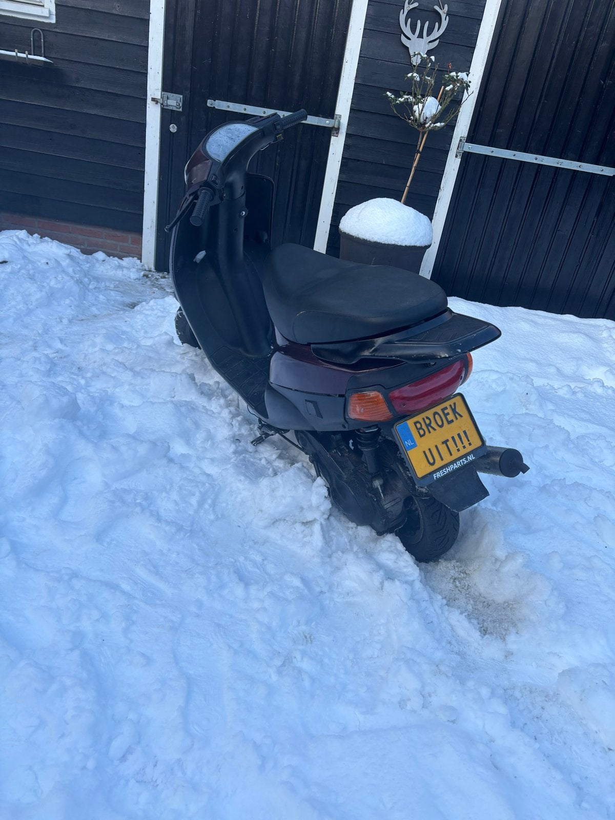 Piaggio Zip type 3 - Goed onderhouden scooter, Gebruikt, Maximaal 45 km/u, Zip, Ophalen of Verzenden