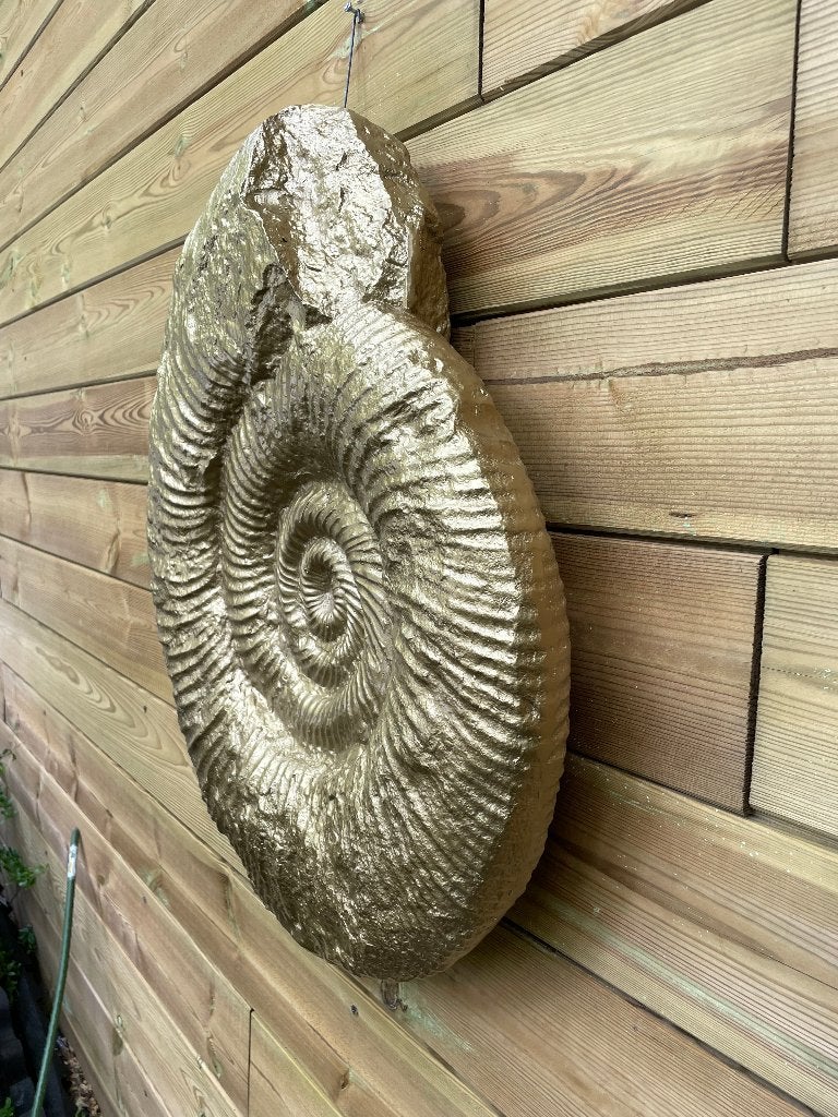 Beeld schelp goud, woonkamer, slaapkamer, interieur 30cm, Ophalen, Nieuw, Kunststof, Dierenbeeld