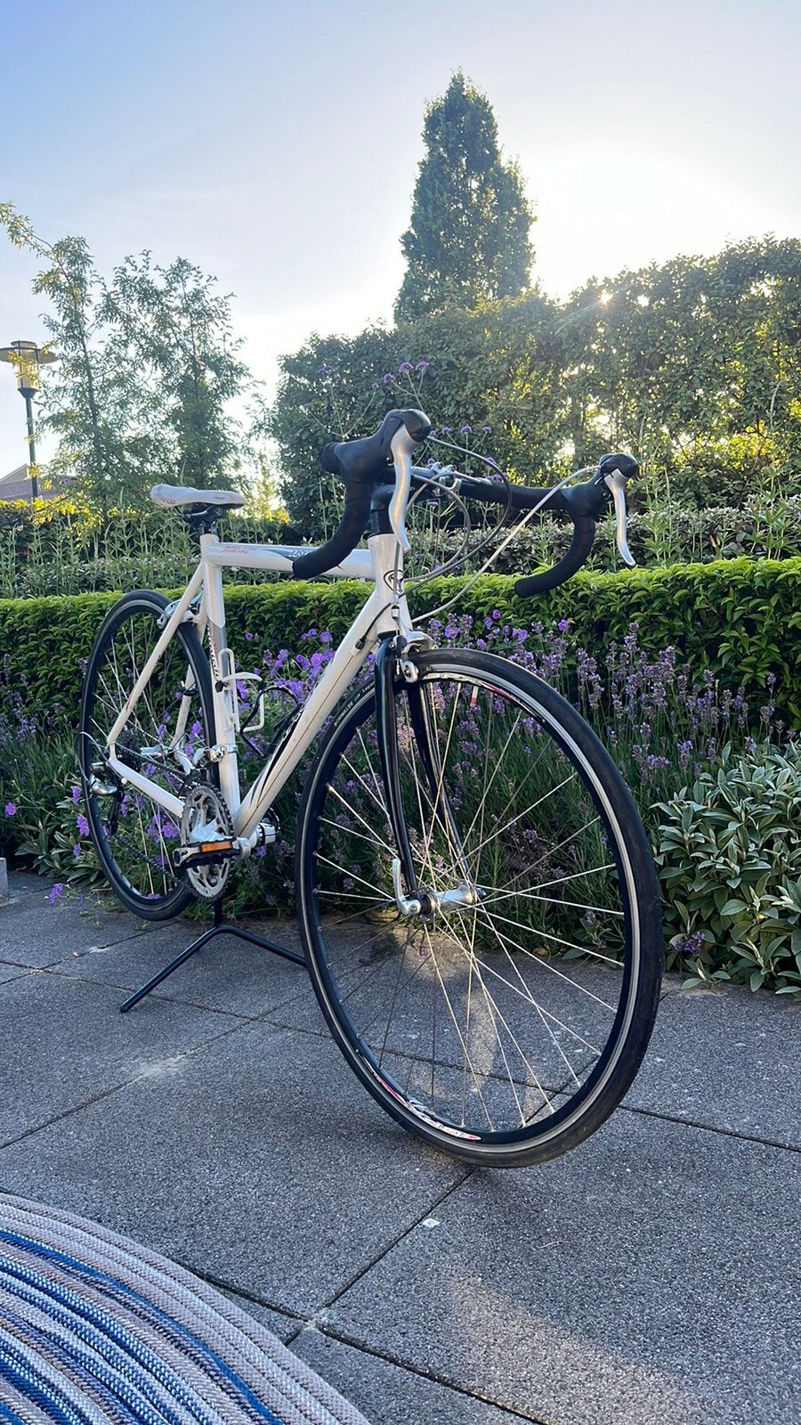 Target Indy Racefiets, 28 inch, Gebruikt, Aluminium, Meer dan 20 versnellingen